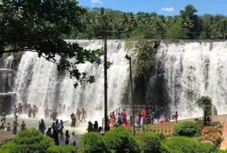 Thiruparappu Water Falls